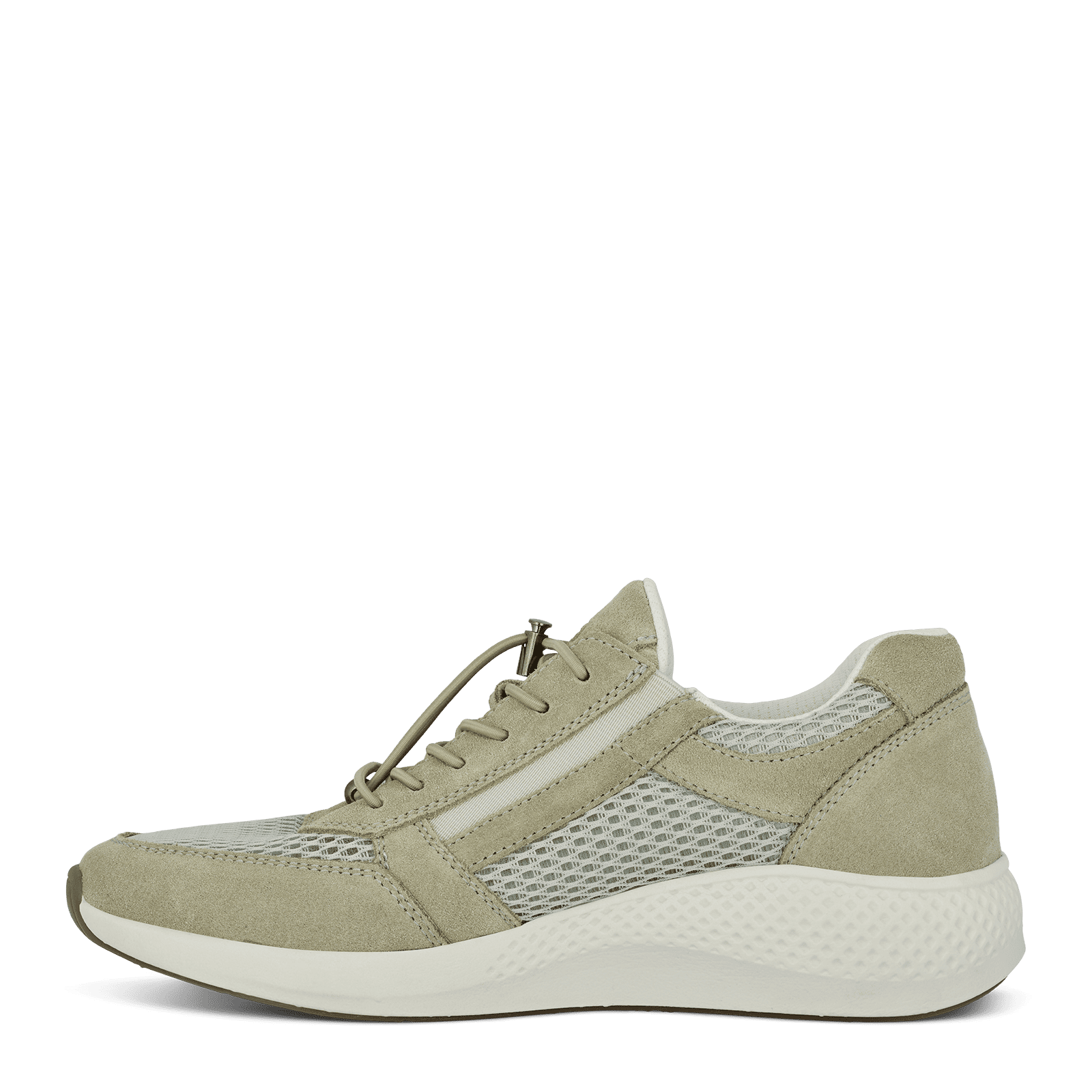 DOLPHIN DICTE - SAGE